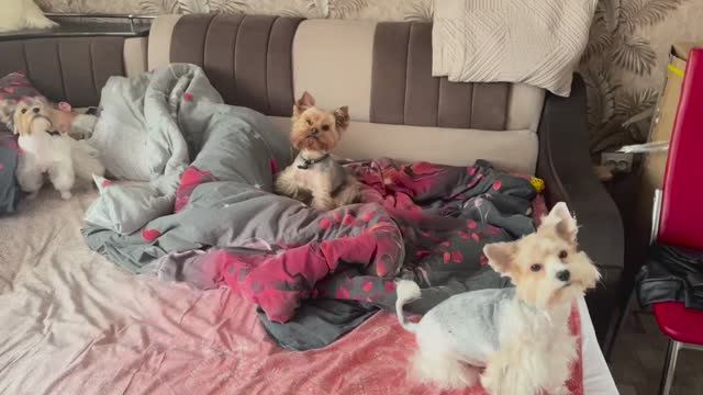 Всех с ПАСХОЙ❗️❤️_🔥🔥