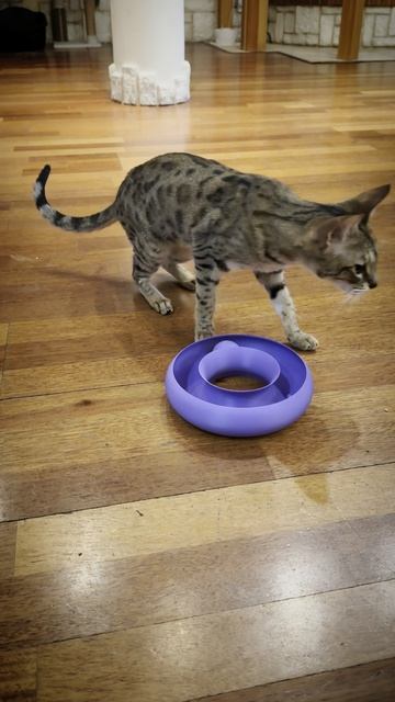 Распечатали игрушку для нашей милой кошки на 3d принтере Bambulab. #3d