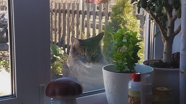 Пол месяца прошло. Новый день!