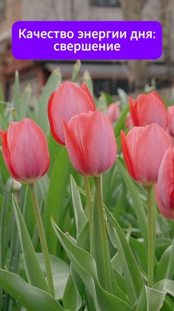 Свершение. Качество энергии дня. 15.04.2026