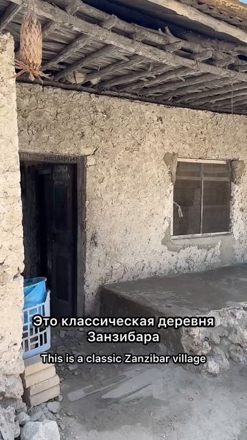 ДЕРЕВНЯ ЗАНЗИБАРА