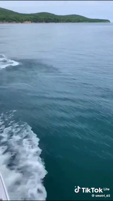 F9b603f963e336704b0bcb2aa5e50ba9_1776181700007.mp4