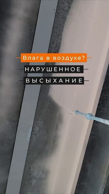 Почему влажность важнее температуры? #краска #побелка