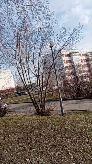 Хорошая а какая дорога