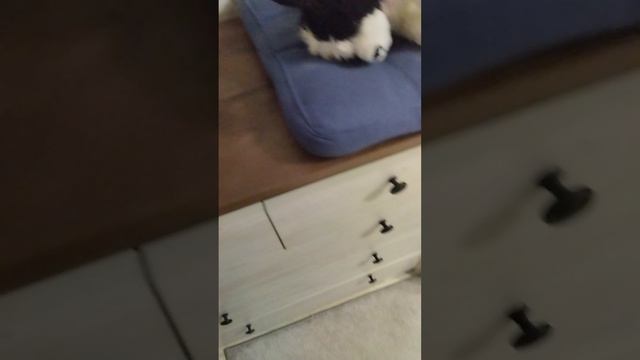 обзор на комнату Для Окси ☺