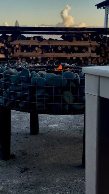 SAVI FAMILY | Начало пути в Абхазии #shorts