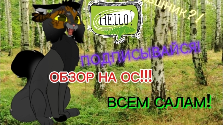 ЧТО? Я КВШНИК?! Обзор на мою ОС