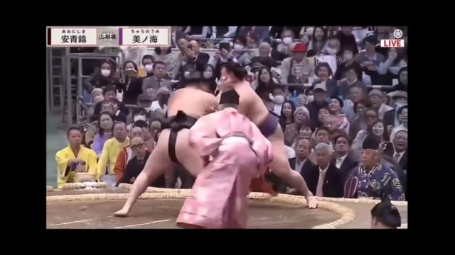 Проблемы у Аониськи Травма Сумо на русском (Aonishiki's Injury_ Withdrawal From Spring Tour Analysis