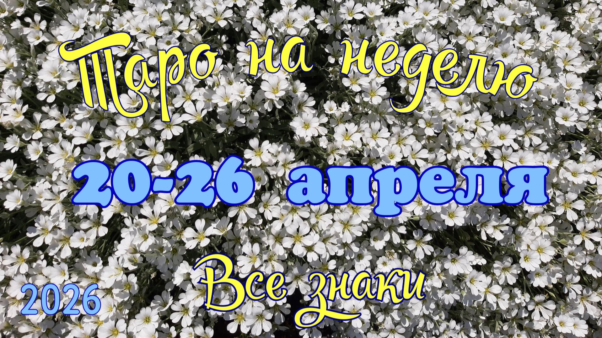 Таро-прогноз🎀на неделю с 20 по 26 апреля 🔥Тайм-код в описании🕊