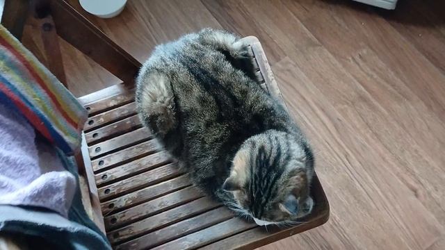 Ура Выходной) Размышления в ожидании красотки)