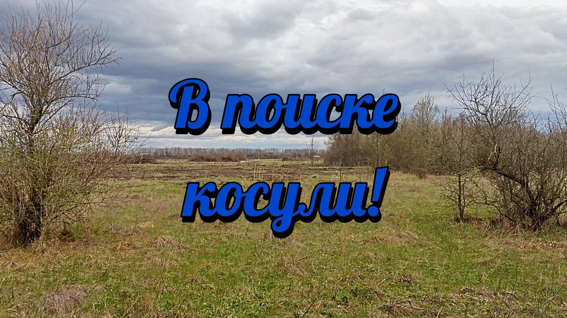 Ищу косулю.