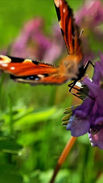 89dceb6b7110af4589b31443d9a48f53