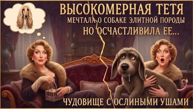 Истории из Жизни \ Высокомерная тетя мечтала о собаке элитной породы