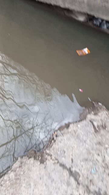 прадалжение моих сказочных путешествий по енесею