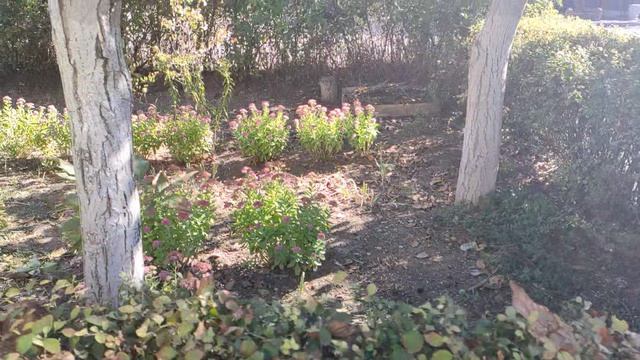 Один из дней города Евпатории | 27 сентября 2021 г | Крым ХАН БАТОН XAH 6ATOH | VID_20210927_144822