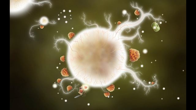 Botanicula (2012) 🔹 Часть 6