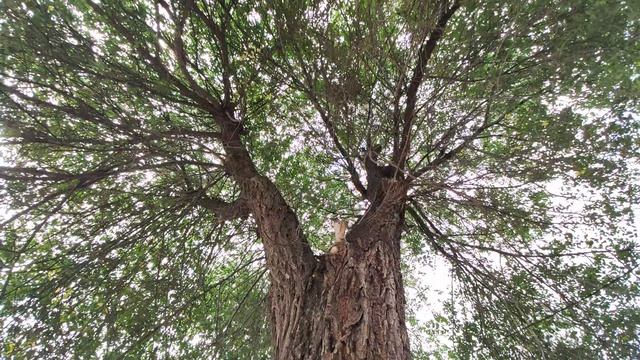 Один из дней города Евпатории | 21 сентября 2021 г | Крым ХАН БАТОН XAH 6ATOH | VID_20210921_145252