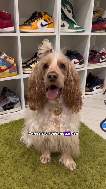 Зоопарк😂💞