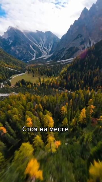 Пока ты стоишь — контроля нет