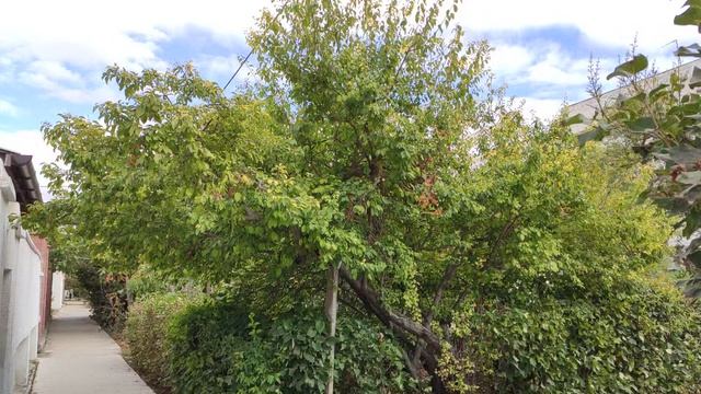 Один из дней города Евпатории | 23 сентября 2021 г | Крым ХАН БАТОН XAH 6ATOH | VID_20210923_144536