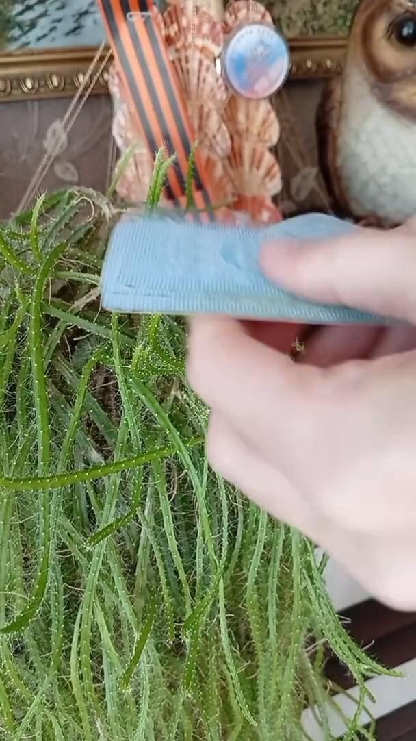 БЛИЗНЕЦЫ ♊ ТАРО РАСКЛАД НА НОВОЛУНИЕ 17 АПРЕЛЯ