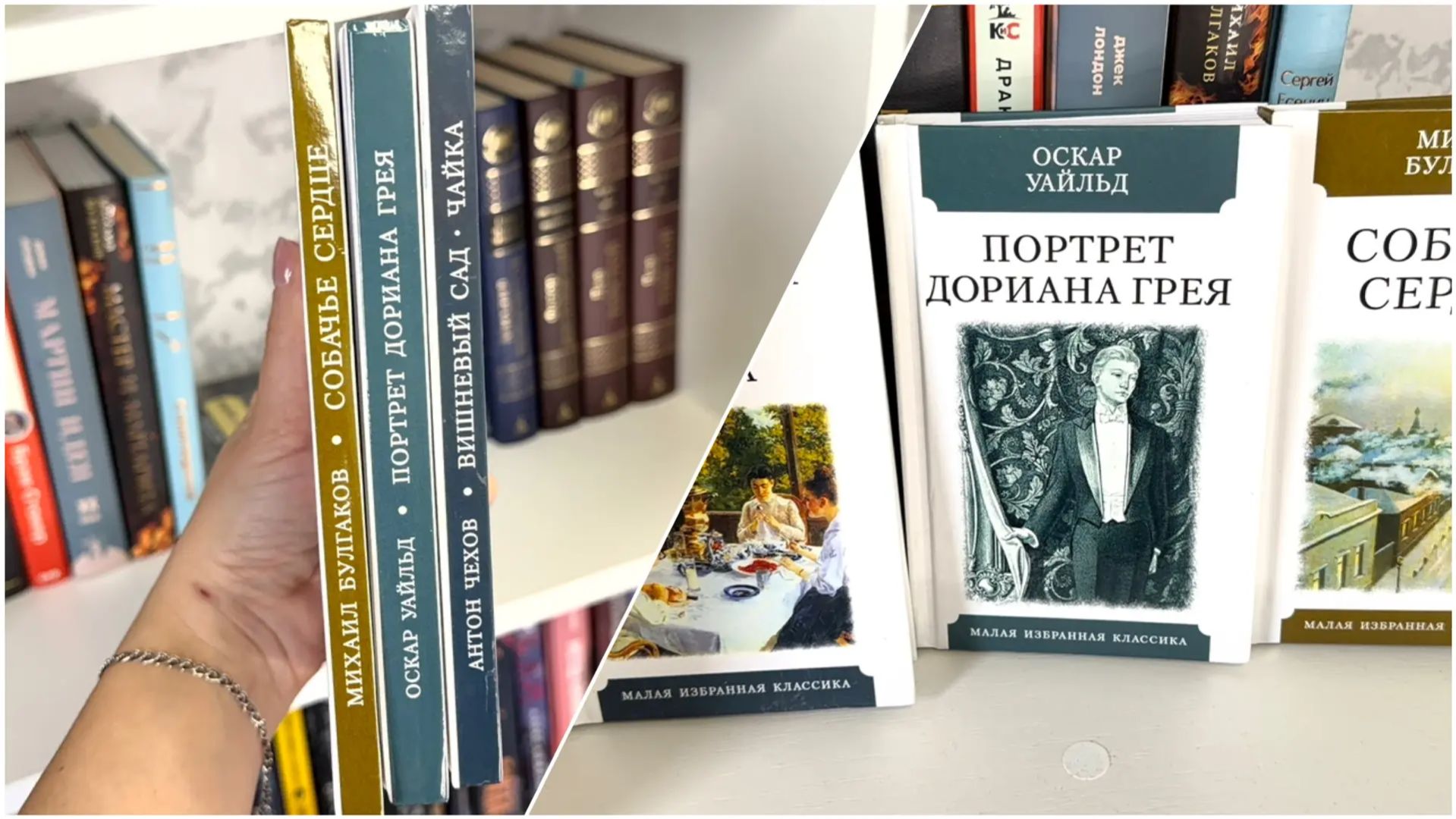 Что почитать в дороге. Книжная подборка в поездку