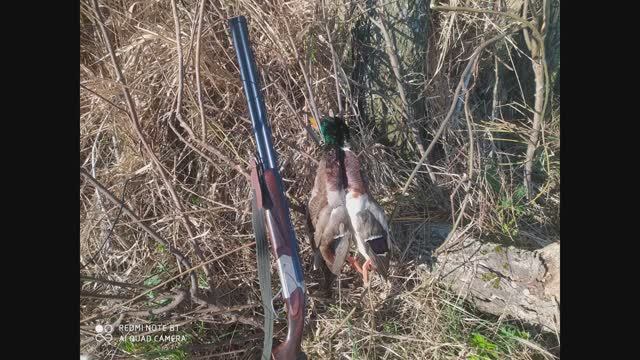 ОХОТА НА СЕЛЕЗНЯ В СИЛЬНЫЙ ВЕТЕР