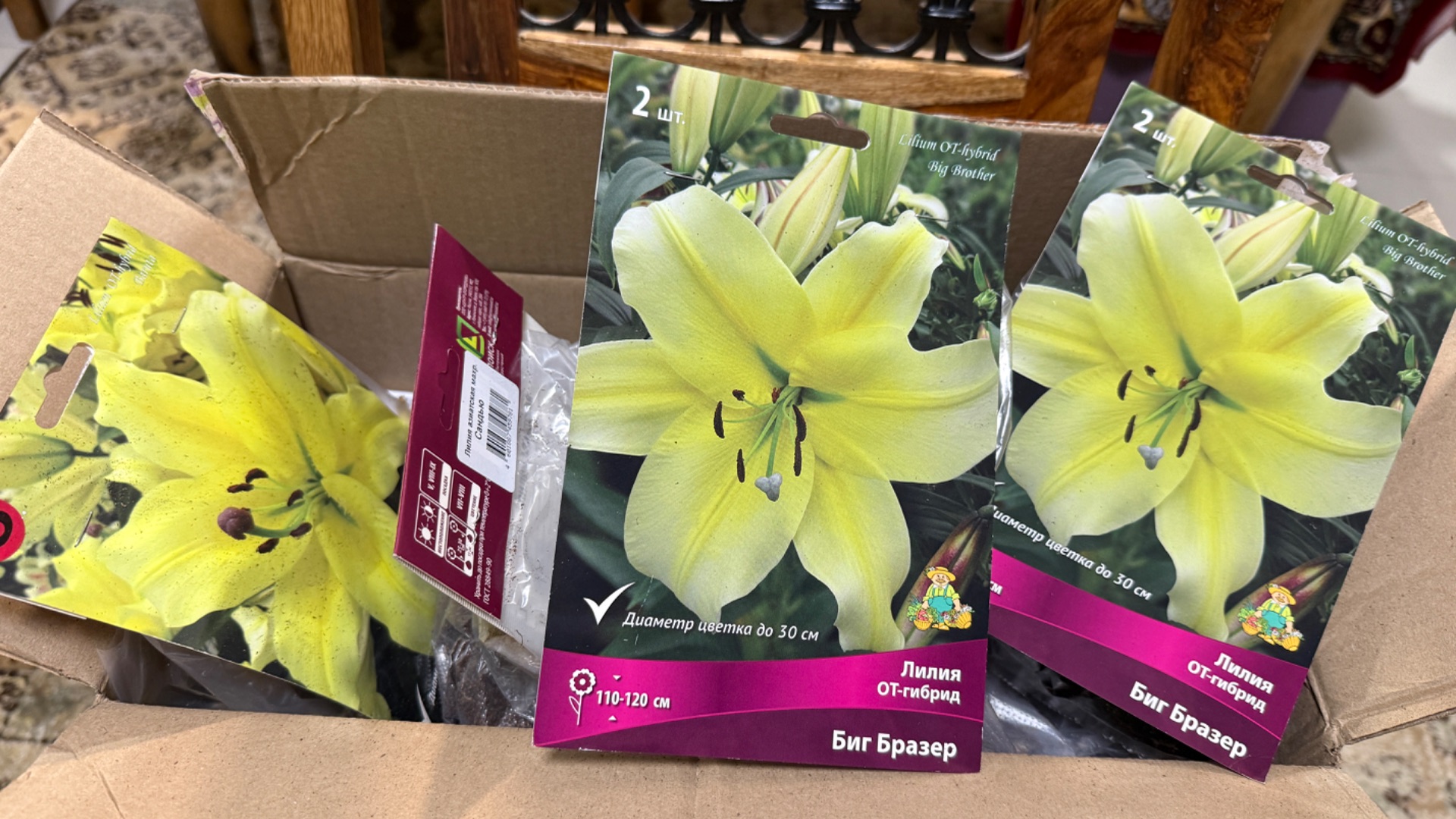 Получила лилии из Подворья 🌼🌿🌼🌿🌼