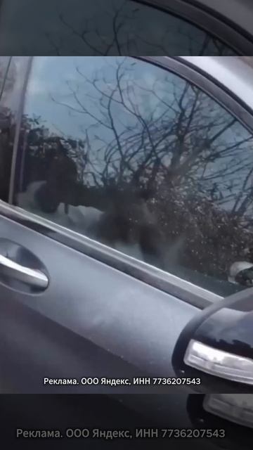 Ссылка на товар здесь: Https://t.me/+DN-o8L9MWfs3MzEy