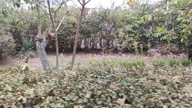 Один из дней города Евпатории | 22 сентября 2021 г | Крым ХАН БАТОН XAH 6ATOH | VID_20210922_145056