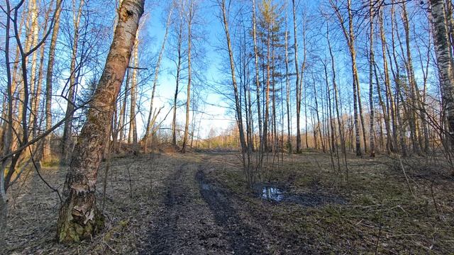 Df9114a9ff3439e791050db86249e3cb