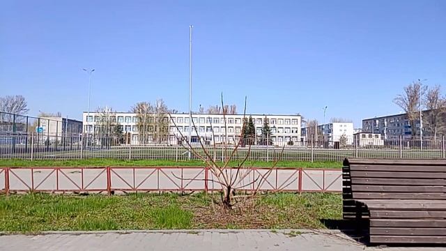 Молодая берёзка/Жизнь в провинции/Россия 🇷🇺