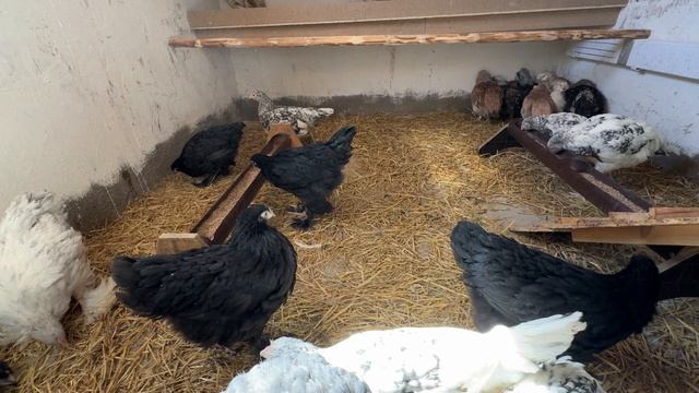 Новоселье у молодёжи