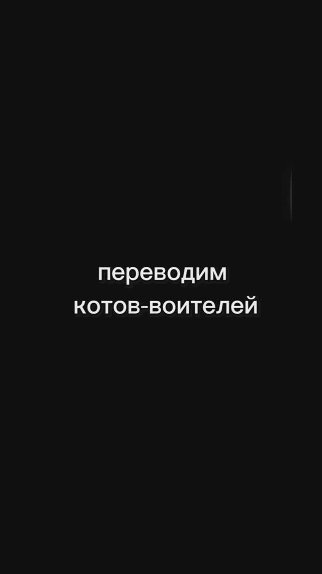 Переводим котов-воителей часть 2