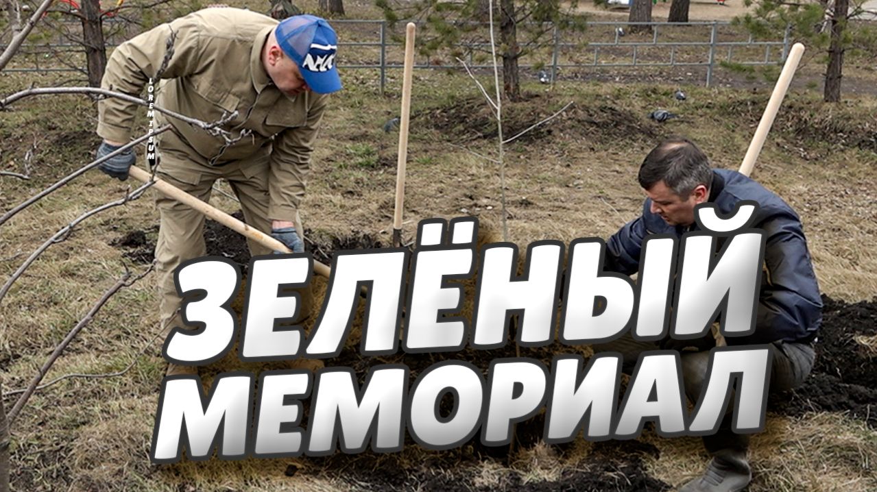 Сергей Шелест высадил рябины на аллее ликвидаторов у ДК «Железнодорожник»