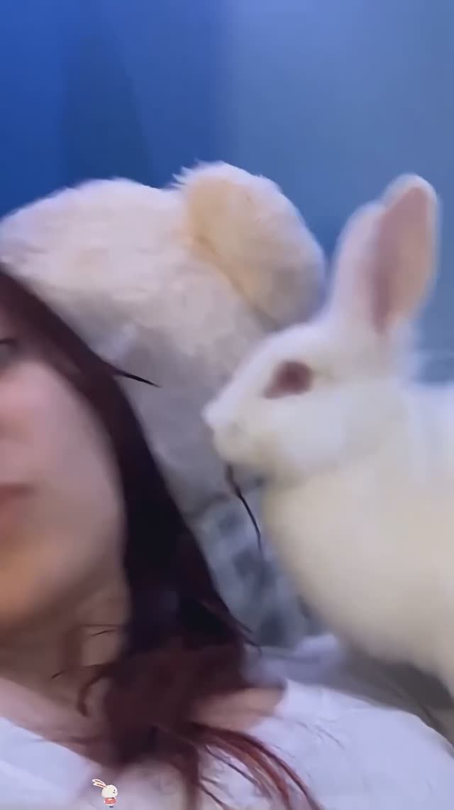 Приколы с кролик🐰🐰СМЕХ до слез🤣🤣🤣Прикольные кролики😂😂