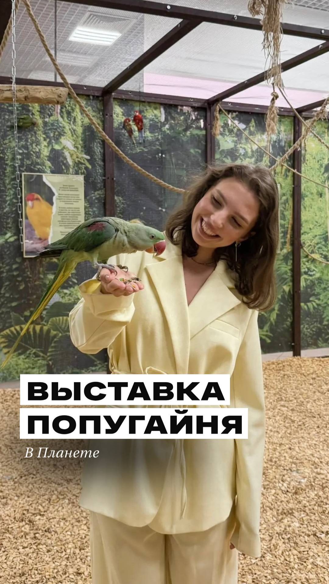 Тропики ближе, чем кажется 🦜