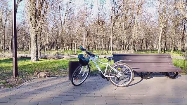 За что я люблю лето?/Прогноз погоды обманывает/Утки на пляже/Жизнь в провинции/Россия 🇷🇺