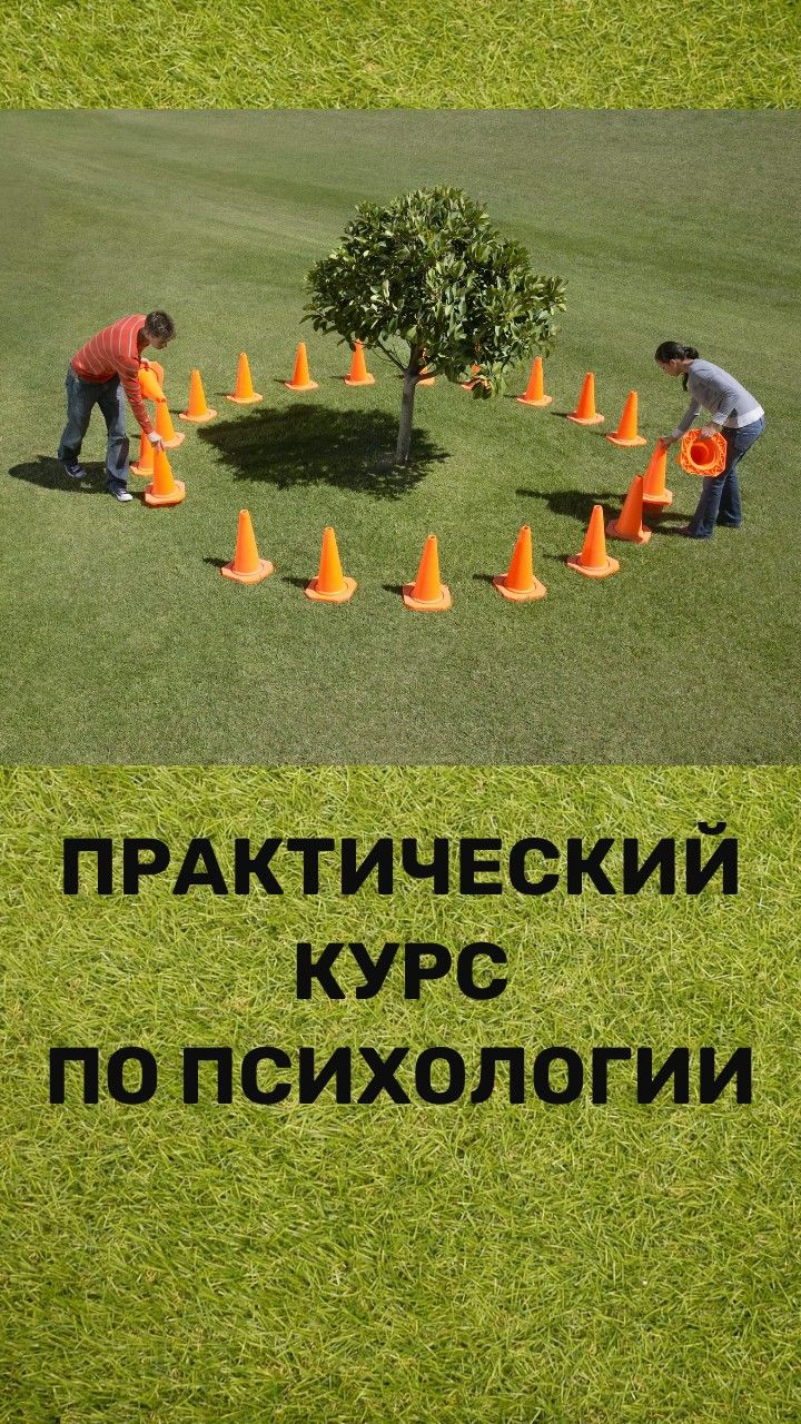 Практический курс психологии