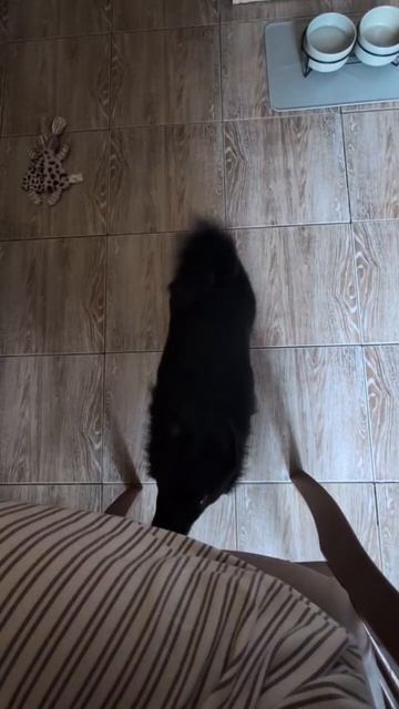 Ну дайте, дайте кусочек 🤗))