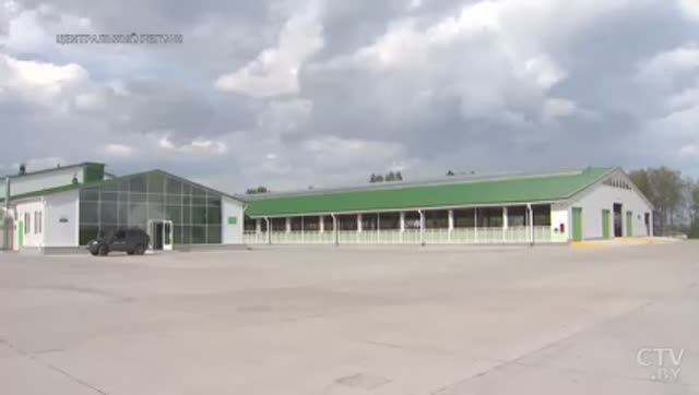 Молочно-товарный комплекс «Липки» СК «Логойский» «Белоруснефть-Минскоблнефтепродук». Репортаж СТВ