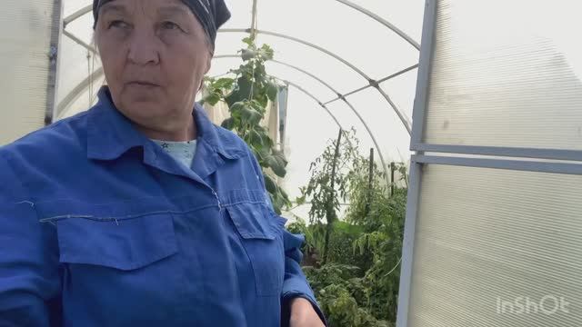Некогда плясать , надо теплицу готовить к большому урожаю