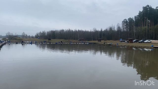 Ежедневный запуск