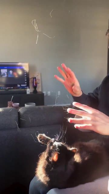 Вчёсывай обратно!