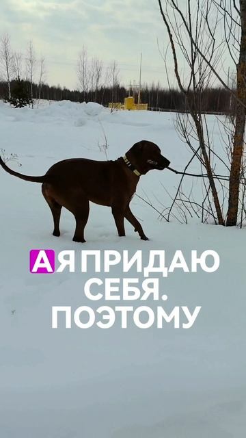 Это тот самый договор с собой, который помогает не сливаться