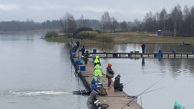 Форель в подсадке!