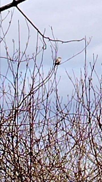 Дружеские разговоры