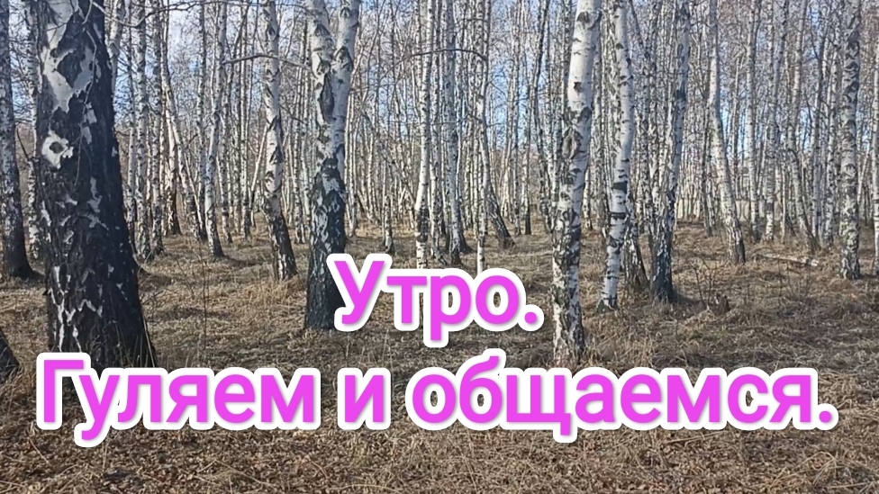16-04-2026. Утро. Гуляем и общаемся.