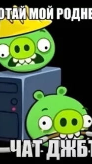 меня попросили