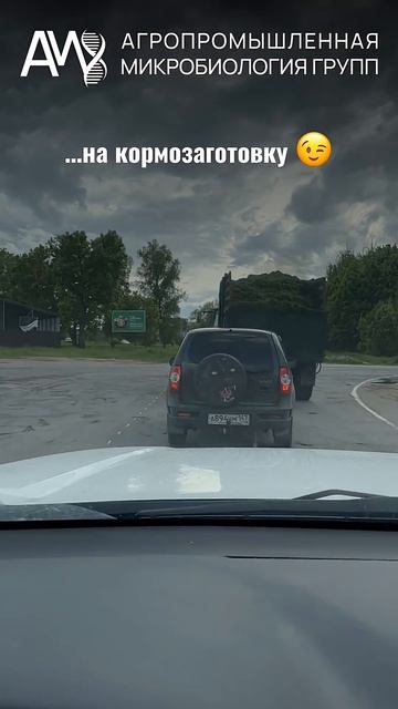 #животноводство #кормозаготовка #farming #агротехнологии #крс #сенаж #зоотехния #животноводство #апк